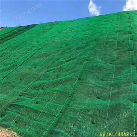诺联直供三维植被网EM3植草护坡三维土工网垫 生态维护固土三维植被网