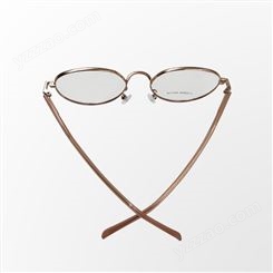 盛隆 风雅复古眼镜架 女款减龄文艺眼镜框批发 厂家供货